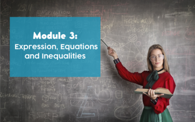 Module 3: Expression, Equations and Inequalities